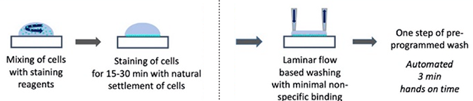 Laminar Wash method